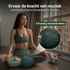 Detail van de tonen op de Miseru Handpan